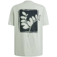 Cast Iron - T-shirt korte mouw - Grijs - Short sleeve r-neck regular fit si - Ctss2505587