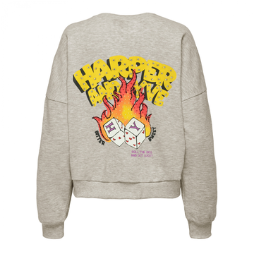 Harper&Yve - Sweater - Grijs - Rollthedice-Sw