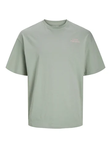 Jack&Jones - T-shirt korte mouw - Groen - Jjeames Tee Ss Crew Neck - 12268471