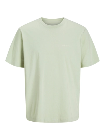 Jack&Jones - T-shirt korte mouw - Lichtgroen - Jorvarenna Painted Back Tee Ss - 12273646