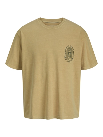 Jack&Jones - T-shirt korte mouw - Zalmroze - Jprblumanson Ss Tee - 12276300