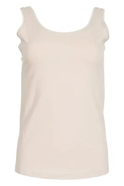 Laya- top