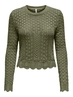 GROEN DONKER