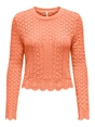 Only - Onlsaga Life Ls O-Neck Cc Knt - Trui met ronde hals - Oranje - 15339668