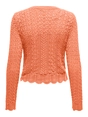 Only - Onlsaga Life Ls O-Neck Cc Knt - Trui met ronde hals - Oranje - 15339668
