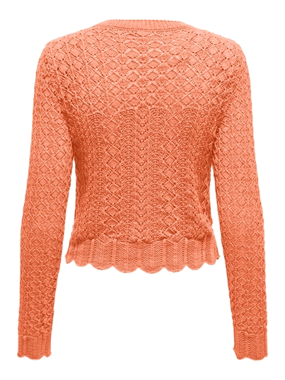 Only - Onlsaga Life Ls O-Neck Cc Knt - Trui met ronde hals - Oranje - 15339668