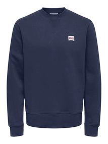Only&Sons - Onsdawson Reg Crew Vd - Katoenen sweater lange mouw - Blauw - 22033193