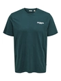 Only&Sons - T-shirt korte mouw - Blauw - Onschris Life Reg Ss Tee - 22034333