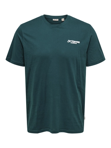 Only&Sons - T-shirt korte mouw - Blauw - Onschris Life Reg Ss Tee - 22034333