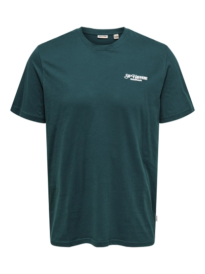 Only&Sons - T-shirt korte mouw - Blauw - Onschris Life Reg Ss Tee - 22034333