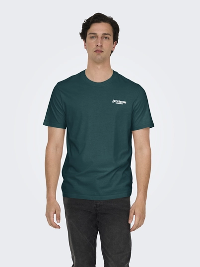 Only&Sons - T-shirt korte mouw - Blauw - Onschris Life Reg Ss Tee - 22034333