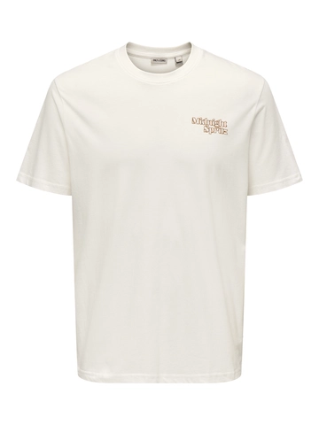 Only&Sons - T-shirt korte mouw - Ecru - Onschris Life Reg Ss Tee - 22034333