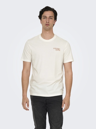 Only&Sons - T-shirt korte mouw - Ecru - Onschris Life Reg Ss Tee - 22034333