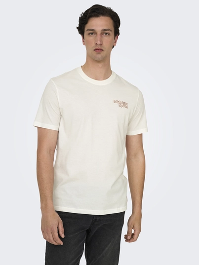 Only&Sons - T-shirt korte mouw - Ecru - Onschris Life Reg Ss Tee - 22034333