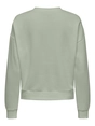 Only - Sweater - Groen - Onlpam L/S O-Neck Box Cc Swt - 15352885