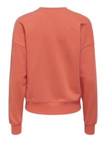 Only - Trui met ronde hals - Oranje - Onlphilea L/S Fruit O-Neck Ub - 15351693