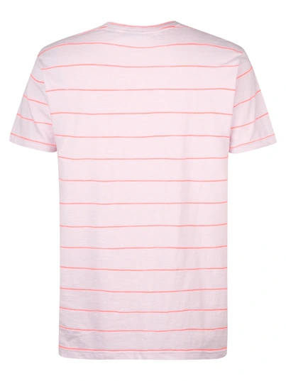 Petrol industries - T-shirt korte mouw - Lila - M-1050-Tsr670 - Men T-Shirt SS