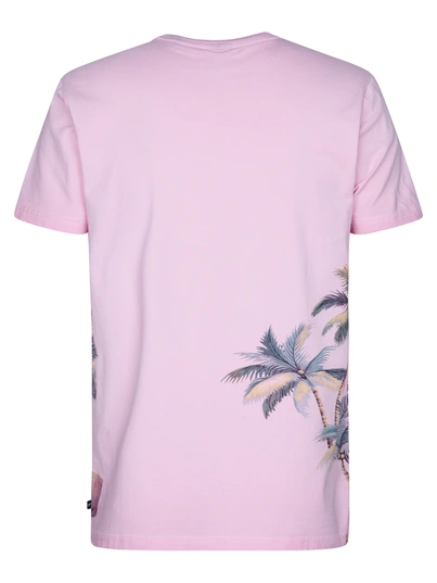 Petrol industries - T-shirt korte mouw - Roze - M-1050-Tsr673 - Men T-Shirt SS