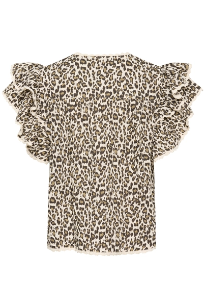 St. Tropez - Blouse korte mouw - Dierenprint - KirbySZ Blouse - 30513998