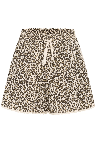 St. Tropez - Korte broek - Dierenprint - KirbySZ Shorts - 30513999