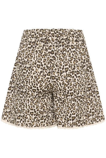 St. Tropez - Korte broek - Dierenprint - KirbySZ Shorts - 30513999