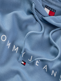 TOMMY JEANS - Hoodie - Lichtblauw - Tjm Reg Linear Logo Hoodie - Dm0Dm20746